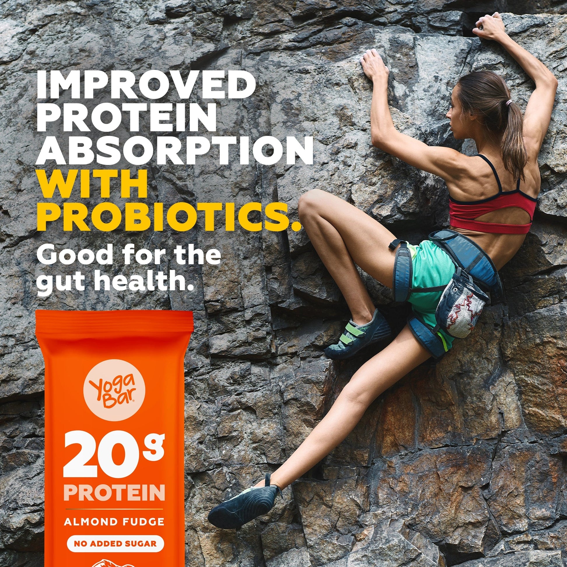 Almond Fudge 20g Protein Bar (Pack of 6) – Yoga Bars