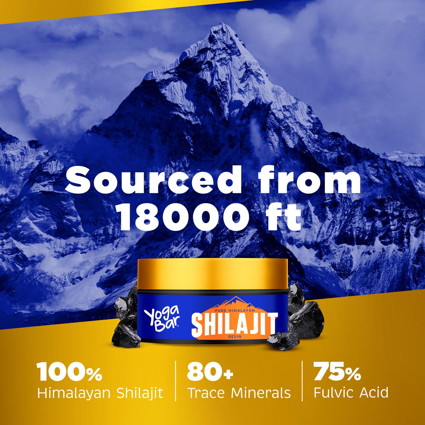 Pure Himalayan Shilajit Resin